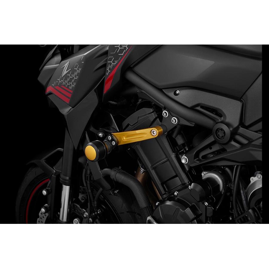 BIKERS (�Х�������) �ե졼�६���� ���� �饤�ȥ������ Z900 K0398-LGD