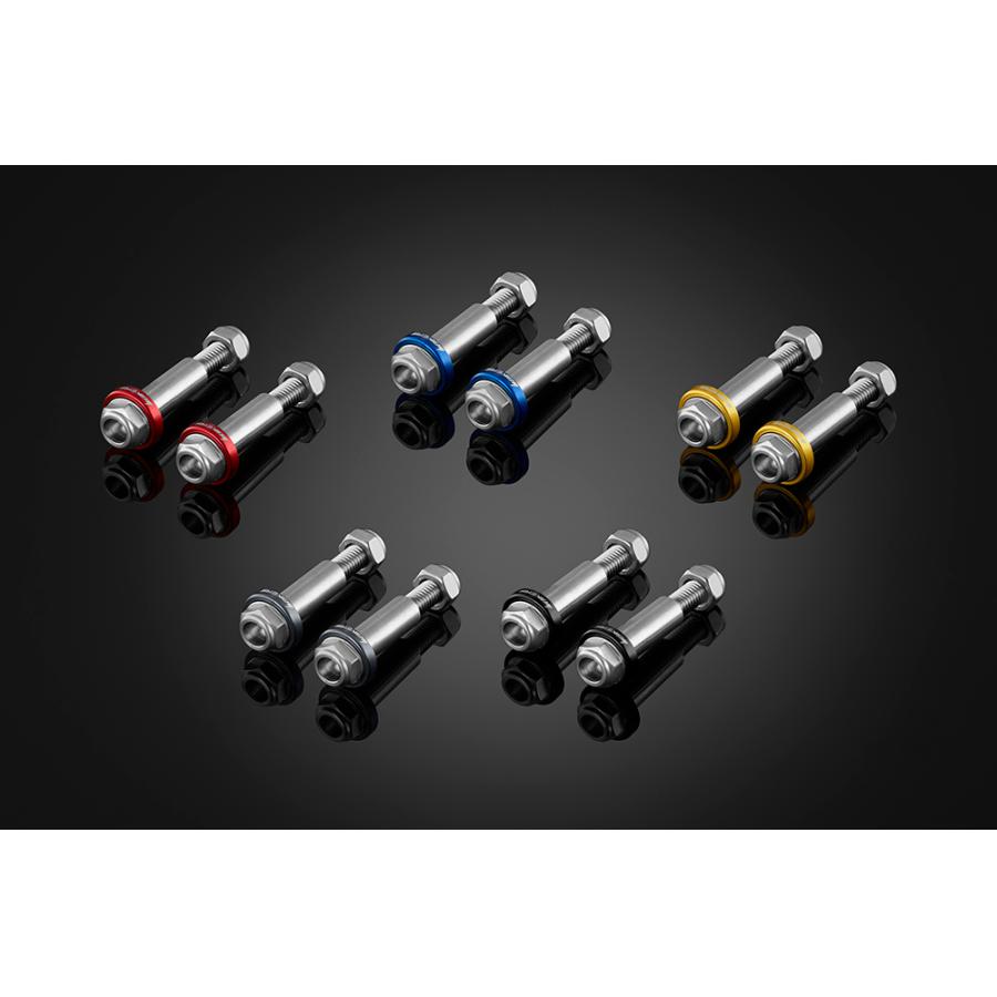 BIKERS (バイカーズ) レバー用ステンレスボルト シルバー FORZA C0401-SLV