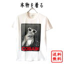 カート・コバーン KURT COBAIN 正規品 tシャツ カートコバーン SMOKING BOX PHOTO nirvana WHITE/ホワイト バンドtシャツ ロックtシャツ ロゴt オフィシャル メンズ レディース 