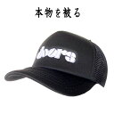 ドアーズ THE DOORS 正規品 キャップ 帽子 CAP ブラック 黒 CAP DOORS バンドキャップ オフィシャル メンズ レディース メッシュキャッ...