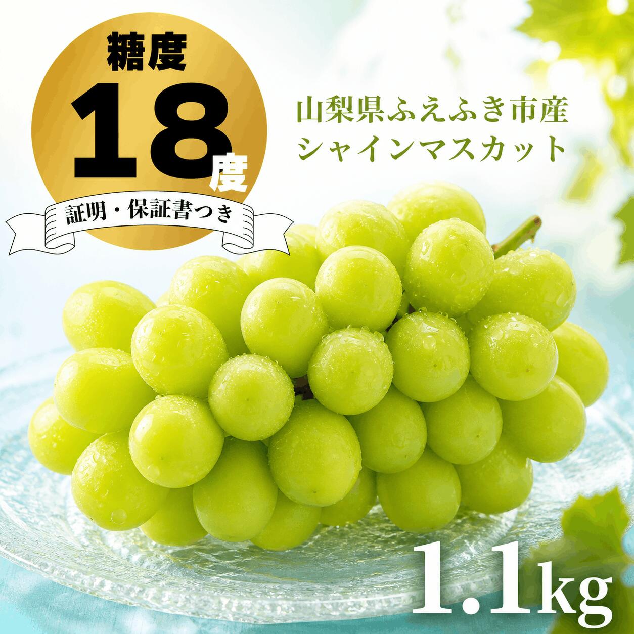 ルッチフルーツ シャインマスカット 糖度18度保証 1.1kg 2~3房 山梨県笛吹市産 全房糖度検査済み！フルーツソムリエが厳選したシャインマスカットのみを出荷！ 5