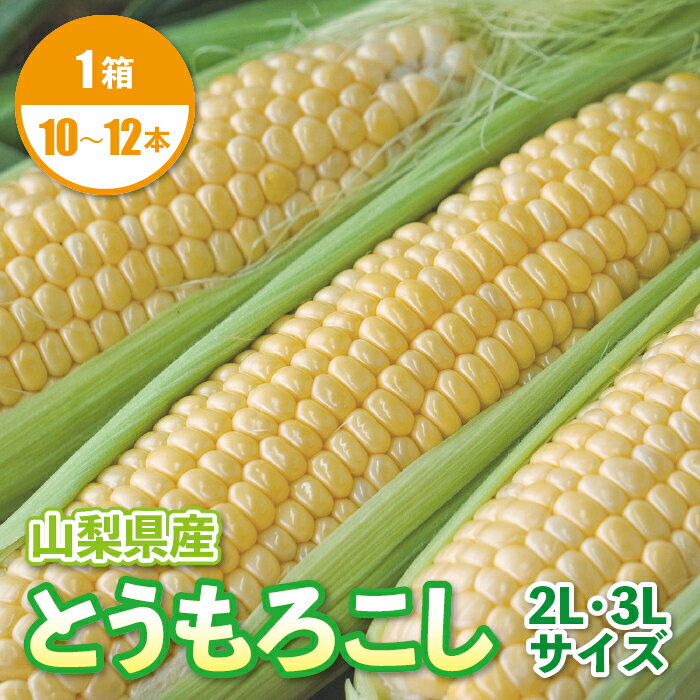 とうもろこし フルーツコーン スイートコーン サニーショコラライラ 2L 3L 10-12本 期間限定 送料無料 新鮮 山梨県産 野菜 旬 甘い