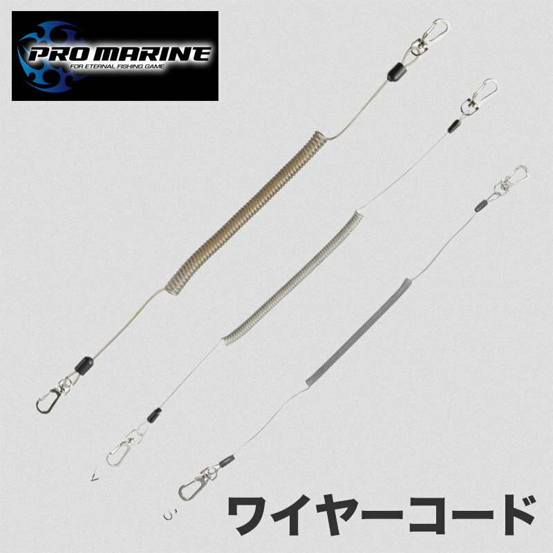 ワイヤーコード スパイラルコード ランヤード 釣具 落下防止 コード 釣り便利グッズ カラビナ付き 釣具..