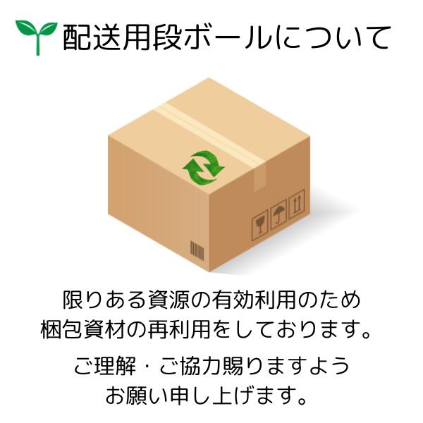 フィジカライフ 子猫用 チキン入り 500g ...の紹介画像2