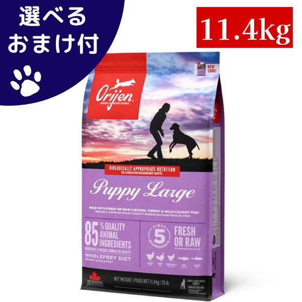 【最大1000円オフクーポンあり】正規品 カナダ産 オリジン パピー ラージ 11.4kg ドッグフード カリカリ 犬 犬のご飯 グレインフリー 犬の餌 犬餌 幼犬 子犬 タンパク質 大型犬 超大型犬のサムネイル