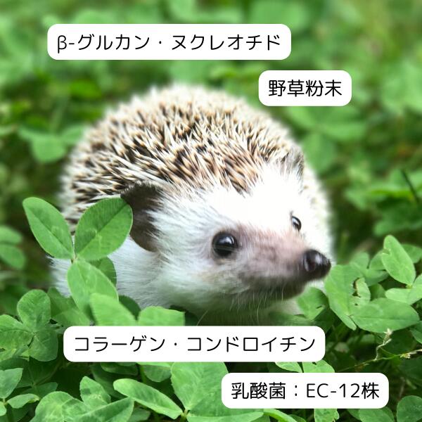 イースター ハリネズミセレクションプロ 600...の紹介画像2