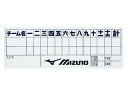 MIZUNO ~Ym _\EXRAubN 20