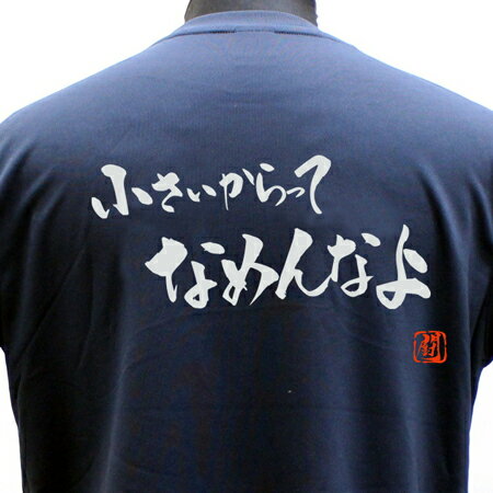 ラグビー Tシャツ 小さいからって ポリT シャツ 練習着 【小さいからってなめんなよ】 トレーニング 吸..