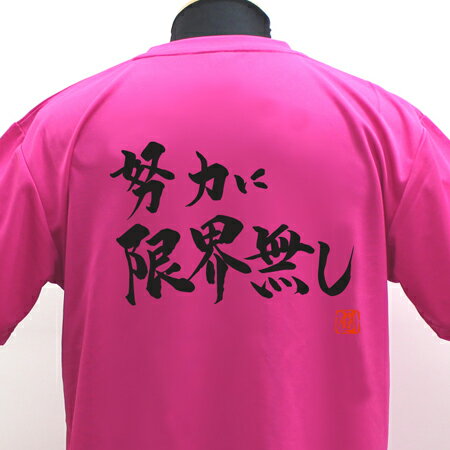 【ラグビーTシャツ】努力に限界無しポリTシャツ 練習着 ラグ