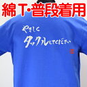 【ラグビーTシャツ】やさしくタックル綿Tシャツ【やさしくタックルしてください】 【普段着用】