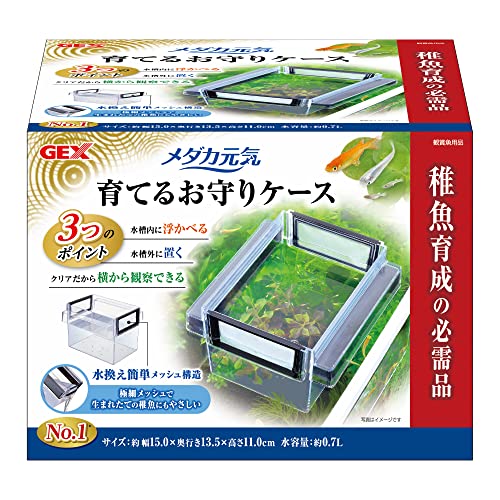 樂天商城 - ジェックス GEX ポリスチレン メダカ元気 育てるお守りケース 稚魚育成の必需品 水替え簡単