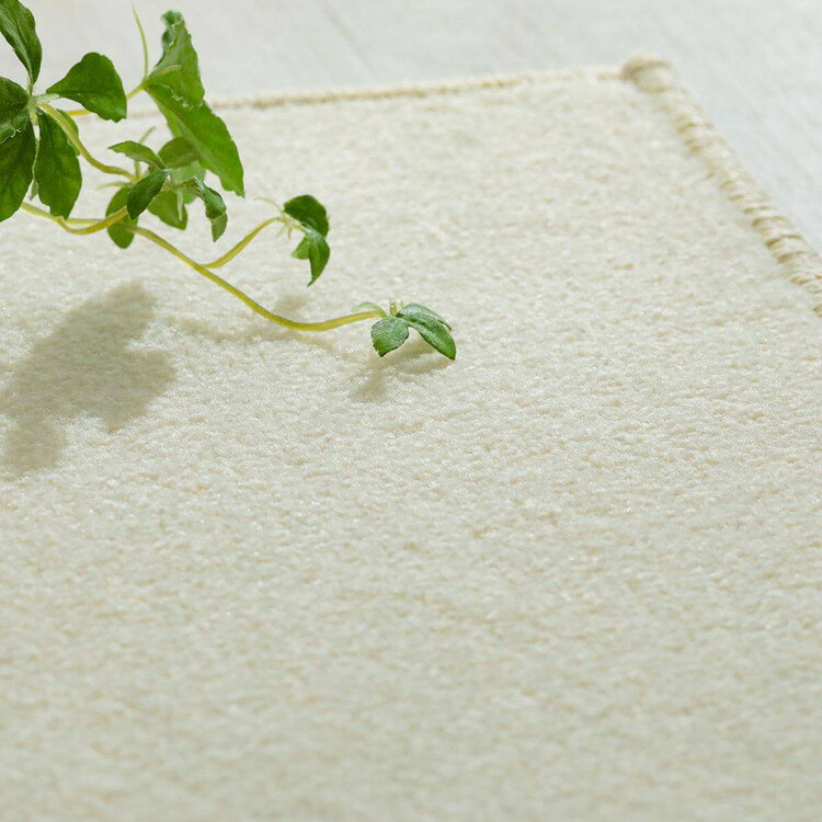 オーダーカーペット はっ水 カーペット オーダー マット 撥水 防炎 ペット マット じゅうたん 絨毯 6畳 8畳 4.5畳 3畳 2畳 10畳 12畳 サイズ カット サイズ加工 無地 抗菌 消臭 防虫 防ダニ 防炎 床暖房対応 抗菌 大きい ＜ レモダカーペット / サイズオーダー＞