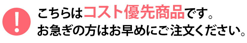 【サイズ指定無料】オーダーロールスクリーン 1級遮光 間仕切り ロールカーテン 部屋 目隠し めかくし 60cm 遮光 45cm 幅30 80cm 遮光1級 ローラーブラインド 新生活＜標準無地 一級遮光タイプ/1cm単位でオーダーできるロールスクリーン カーテンレール取り付けOK＞