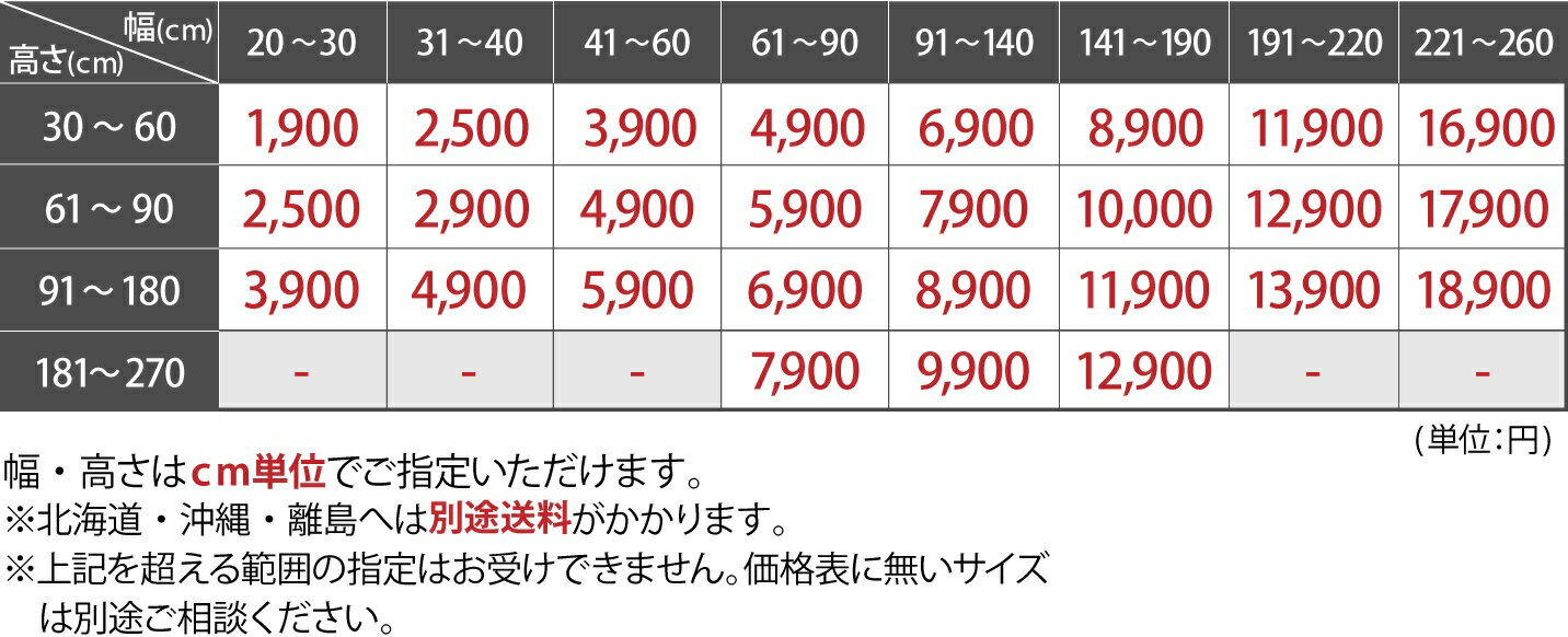 【最大5000円クーポン★スーパーセール】【 1cm単位サイズオーダー】 非遮光 ロールスクリーン 採光 オーダー ロールカーテン UVカットスクリーン オーダーロールスクリーン 部屋 目隠し めかくし 間仕切り 子供部屋 カーテン ファスト ネジ止めタイプ / オーダー