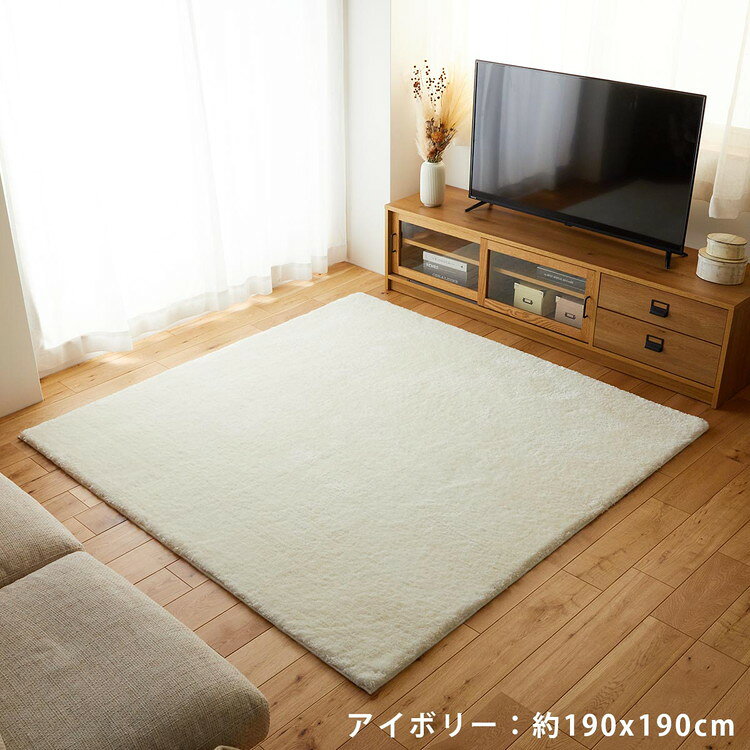 【全品P4倍★15日限定】 ラグ ラグマット カーペット シャギーラグ シャギー 洗える 抗菌 防ダニ 防炎 長方形 正方形 円形 日本製 防臭 北欧 おしゃれ ふわふわ 無地 滑り止め付き オールシーズン 床暖房対応 国産 滑り止め付 ラネージュ rugly-10008338 ラグ&カーペット専門店 ラグリー サンプル画像2