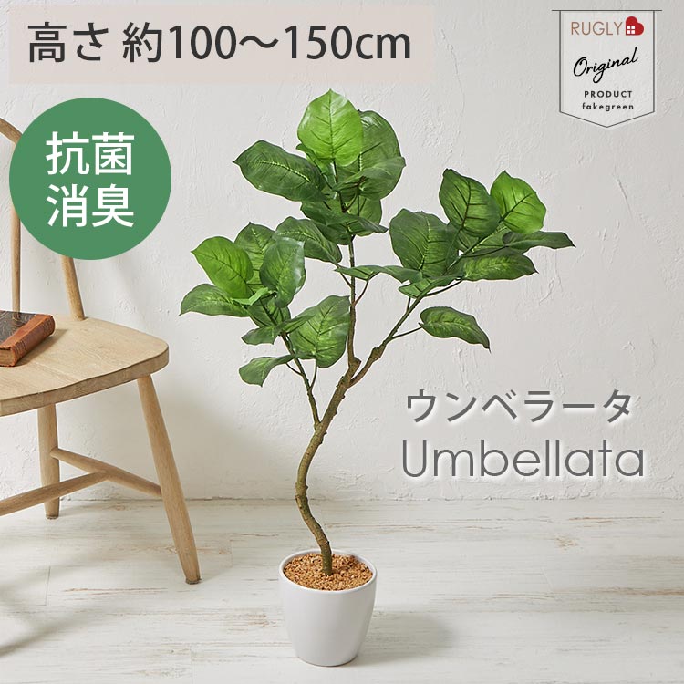 【P10倍★マラソン中】フェイクグリーン 大型 抗菌 消臭 観葉植物 フェイク 光触媒 人工観葉植物 ウンベラータ 造花 インテリア おしゃれ お祝い 鉢 植木 葉 枝 木 室内 玄関 リビング観葉樹 ＜フェイクグリーン / ウンベラータツリー 約100cm 約150cm＞