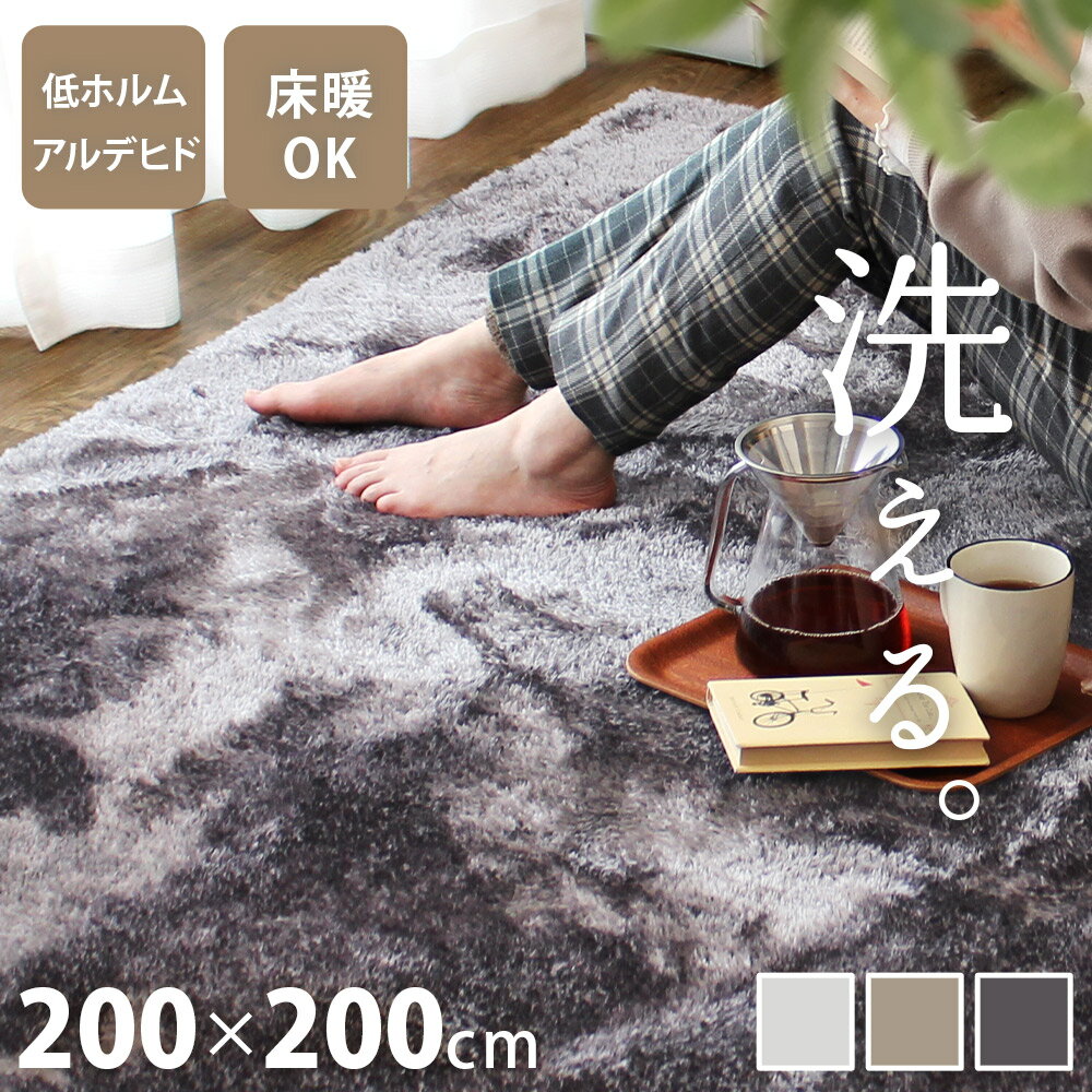 シャギーラグ - シャギーラグ 洗える 200×200cmラグ 北欧 おしゃれ ラグマット 洗濯機 短毛 オールシーズン 2畳 正方形 大きめ 低ホルムアルデヒド かわいい じゅうたん 絨毯 ベージュ グレー ふわふわ もこもこ 韓国インテリア 秋 冬 床暖対応 ロイスター