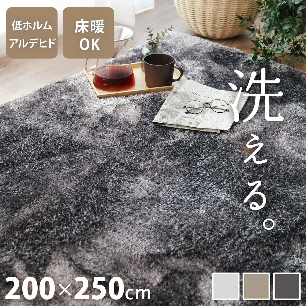シャギーラグ - シャギーラグ 洗える 200×250cmラグ 北欧 おしゃれ ラグマット 洗濯機 短毛 オールシーズン 3畳 長方形 大きい 低ホルムアルデヒド かわいい じゅうたん 絨毯 ベージュ グレー ふわふわ もこもこ 韓国インテリア 秋 冬 床暖対応 ロイスター
