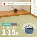 【無料サンプルあり】ラグ ビニール風 ゴザ ライアン 【1畳・2畳・3畳・4畳・4.5畳・6畳・8畳・10畳・12.5畳・15畳】【江戸間・本間・団地間・三六間...