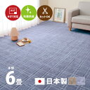 カーペット 抗菌 シオン2 約286×382cm【本間6畳】6帖 カットできる 格子柄 タフトカーペット 平織リ 敷き詰めカーペット ラグマット おしゃれ ラグ 絨毯 北欧 モダン 市松模様 和室 オールシーズン 年中 掃除しやすい 萩原