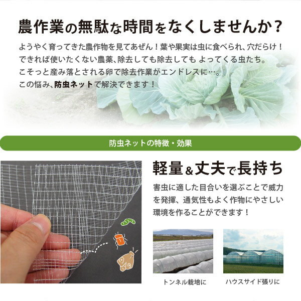 防虫ネットサンサンネット白生地からみ織N3800(2times;4mm)約幅1.5times;長さ100m園芸畑農業防虫シート