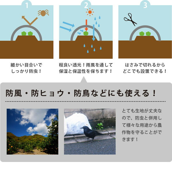 防虫ネットサンサンネット白生地からみ織N3800(2times;4mm)約幅1.5times;長さ100m園芸畑農業防虫シート