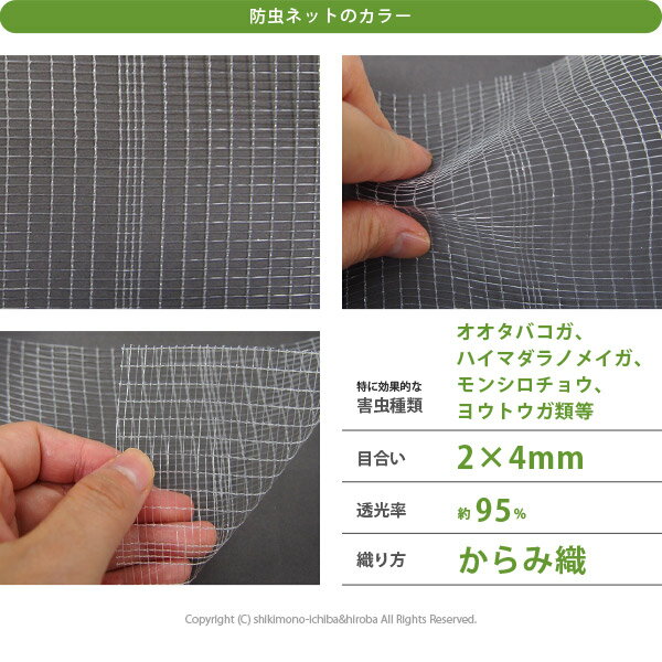日本製国産防虫ネットサンサンネット白生地からみ織N3800【2times;4mm】約幅1.5times;長さ100m園芸畑農業防虫シート