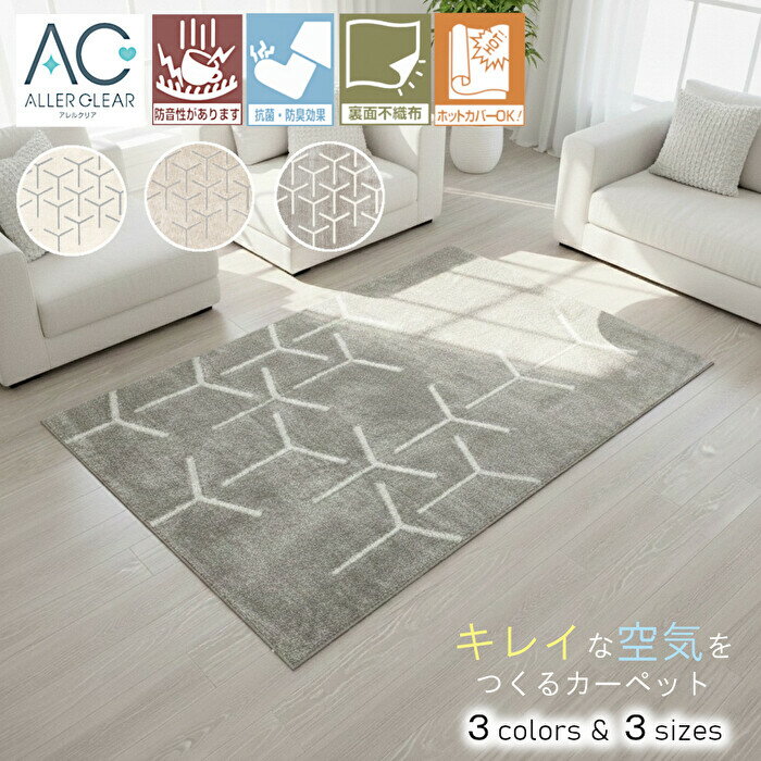 空気清浄機と未開封ビッグカーペットラグ 制菌 ラグ 130×185cm シャギーラグ カーペット マット マイクロ