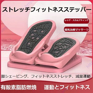ストレッチ フィットネス ステッパー 2 in 1 ストレッチボード+ステッパー 運動後のストレッチ 効果アップ 座りながらエクササイズマシーン 日常・リハビリトレーニングに 磁気治療 マッサージ 脚シェイプ フィットネス ストレッチ ダイエット エクササイズ 【送料無料】