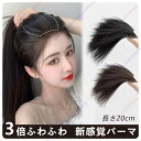 ミニつけ毛 頭頂エクステ 部分ウィッグ ウェーヴィー ヘアピース 3倍ふわふわ 仿真 増毛 薄毛 新感覚 パーマ ポイントウィッグ 円形脱毛症 ウ...