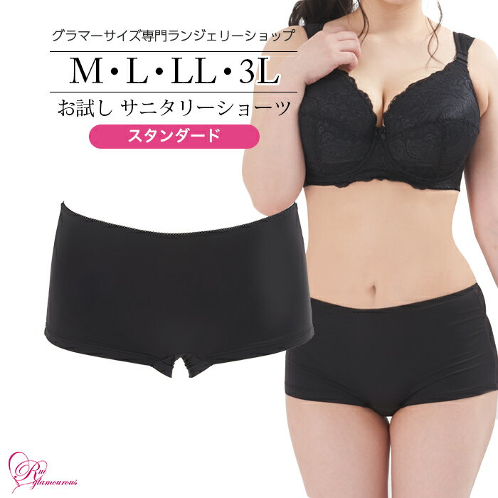 ブラジャー　大きいサイズ　お試しサニタリーショーツ（SP-347）レディース 女性 インナー 下着 【サイズ展開】M・L・LL・3L