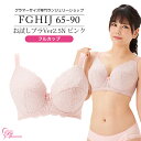 ブラジャー　大きいサイズ　お試しブラVer2.5N ピンク フルカップ（SP-494） レディース 女性 インナー 下着 【サイズ展開】Fカップ Gカップ Hカップ Iカップ Jカップ（FGHIJカップ） アンダー 65 70 75 80 85 90