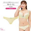 ブラジャー　大きいサイズ　カルドTバック（SP-532）レディース 女性 インナー 下着 【サイズ展開】M・L・LL