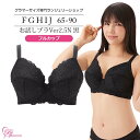 ブラジャー　大きいサイズ　お試しブラVer2.5N 黒 フルカップ（SP-494） レディース 女性 インナー 下着 【サイズ展開】Fカップ Gカップ Hカップ Iカップ Jカップ（FGHIJカップ） アンダー 65 70 75 80 85 90