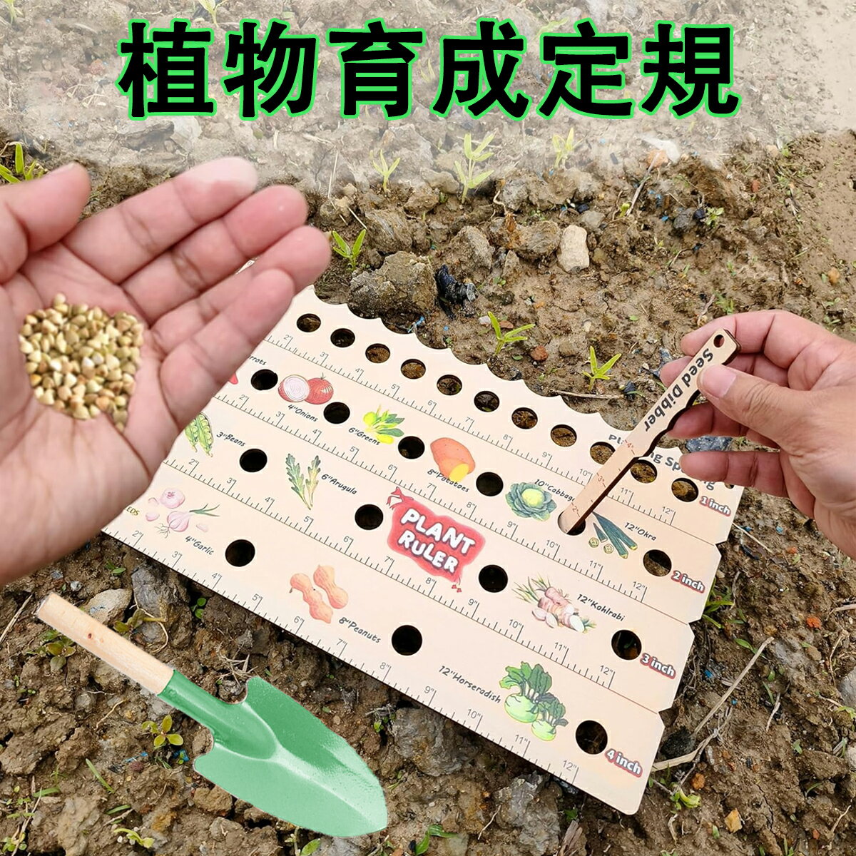 木製 植物播種定規 小学生 植物育成定規 木製植物定規セット 植栽定規とダイバー 植栽間隔定規 - 穴付き木製植栽定規 植物ディバー付きポータブルガーデン定規 野菜 植物 果物の園芸ツール 自由研究 道具