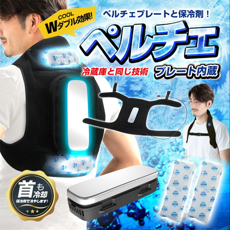 ブレイン 保冷剤ベスト【BR-730 アイスバックペルチェ (保冷剤×2個付) (バッテリー...