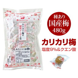 カリカリ梅 梅干し【赤城フーズ 熱中カリカリ梅 (種あり) 約480g 梅(国産) 2024年製】うめ ウメ 熱中症対策 塩分補給 塩使用