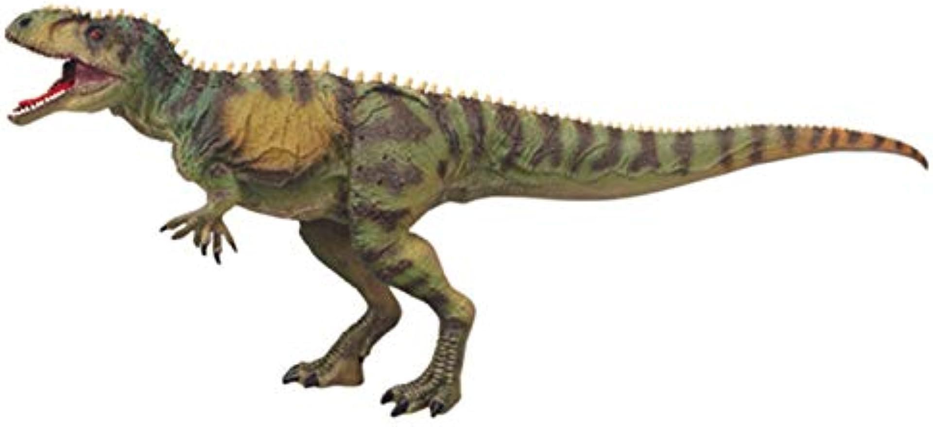 ギガノトサウルス 恐竜 大型 肉食 獣脚類 動物 リアル フィギュア PVC プラモデル おもちゃ 模型 恐竜好き 誕生日 プレゼント オリジナル 塗装済 完成品 45cm級 2色 (グリーン)