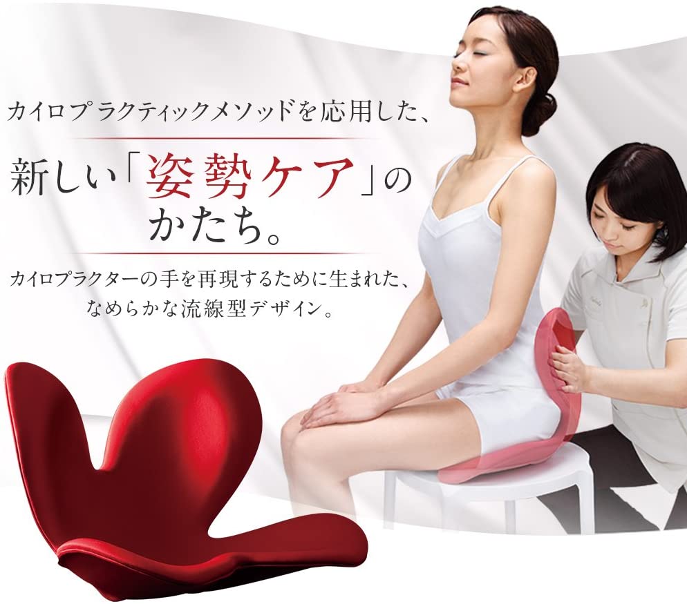 骨盤サポートチェアBodyMakeSeatStyle(ボディメイクシートスタイル)ディープレッド