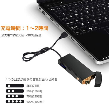 電子ライター ライター usb 小型 充電式 プラズマ ダブルアーク オイル不要 ガス不要 防風 軽量 薄型 プレゼント 電子ターボライター 電池残量表示 自動放電オフ 繰り返し使える アウトドア 防災グッズ
