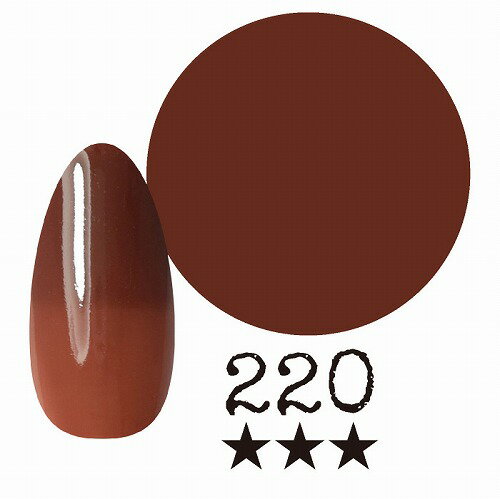 国産カラージェル アミーチ 220