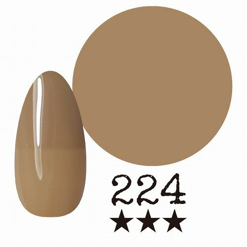 国産カラージェル　アミーチ　224