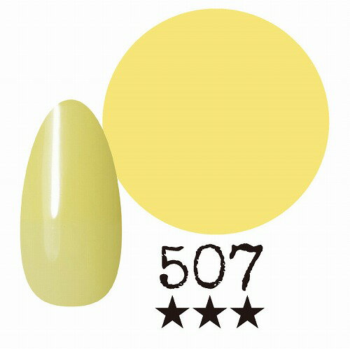 国産カラージェル　アミーチ　507