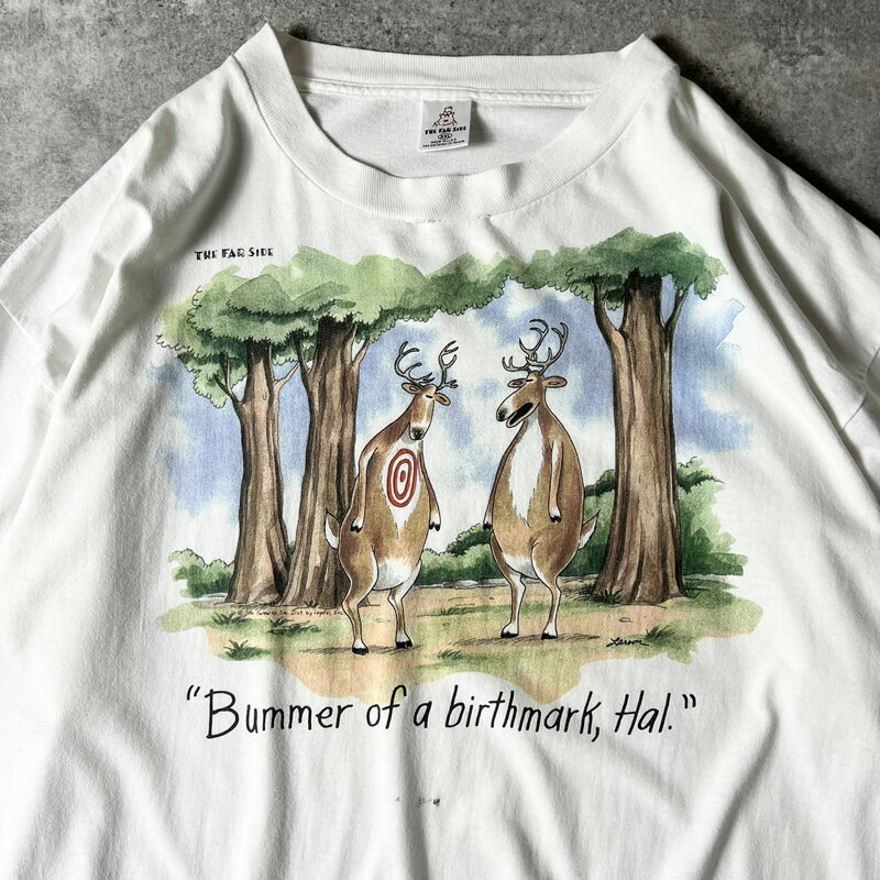 90s USA製 THE FAR SIDE ジョーク キャラクター プリント 半袖 Tシャツ XXL / 90年代 アメリカ製 オールド シングル ステッチ 白 【中古】 古着 アメリカ古着 USED ユーズド 中古 VINTAGE US古着 アメカジ
