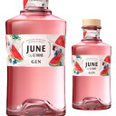 【全品P3倍 7/20限定】ジューン ジン リキュール スイカ 37.5度 700mlジーヴァイン GVine JUNE WATERMELON すいか フランス GIN LIQUEUR 長S