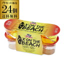 【全品P3倍 4/30〜5/1限定】スリングショット エックスオンザビーチ 「ラズベリーリキュール & パイナップルリキュール」1ケース 72本(30ml×3本...