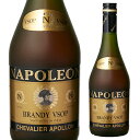 【全品P3倍 4/30〜5/1限定】シュバリエ アポロン ナポレオン 36度 700ml ブランデー フランス 長S