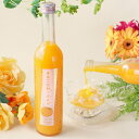 【全品P3倍 4/30〜5/1限定】驚異の果汁率87%! まるごとMIKAN みかん 500ml リキュール 奈良県 北岡本店果実酒 リキュール みかん酒 大人...