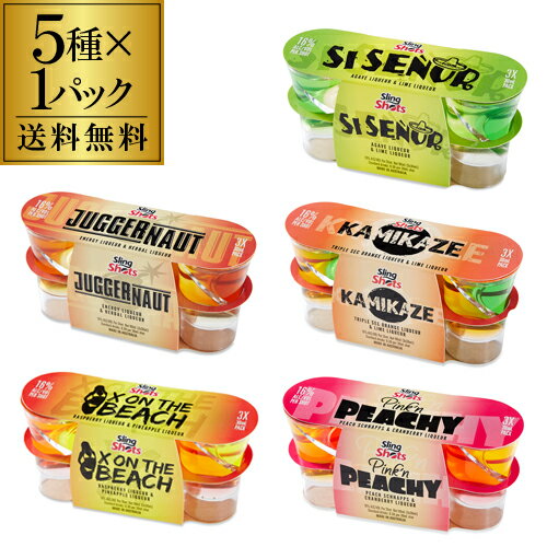 【お試し送料無料】スリングショット 5種セット 5種×3本（計15本） 1本あたり200円 16度 リキュール ショット飲み クラブ バー イベント パーティー sling shots