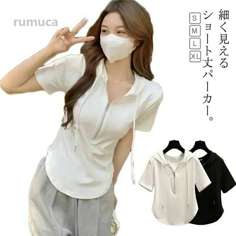 細身 ショート丈 コンパクト シンプル 半袖 tシャツ 春夏 半袖パーカー トップス 夏 秋 半袖 プルオーバー レディース